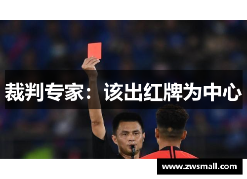 裁判专家：该出红牌为中心